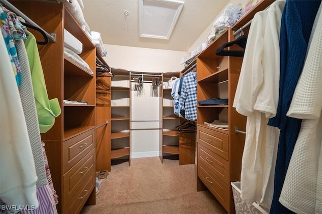 6502 Monterey Pt Unit 202, Naples, FL 34105 - walk in closet with light carpet and attic access