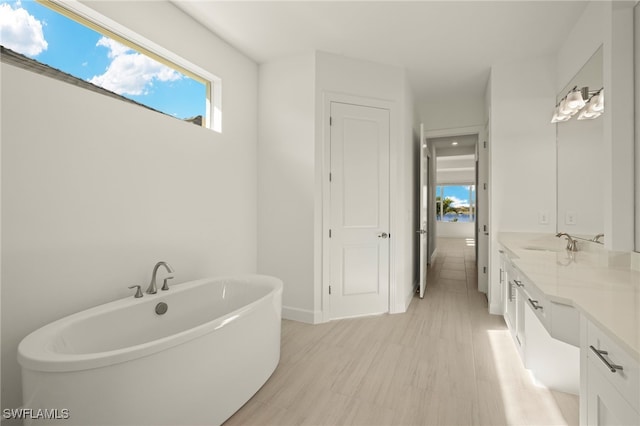 bathroom with a tub, hardwood / wood-style floors, and vanity