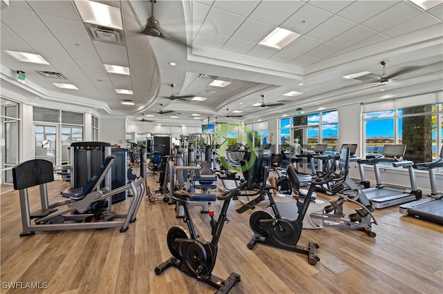 gym with ceiling fan, a raised ceiling, and light hardwood / wood-style flooring