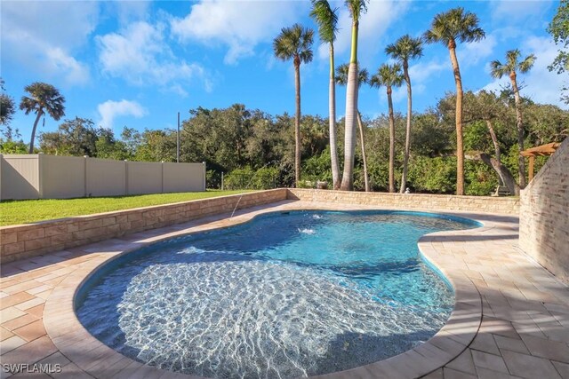 view of pool with a fenced backyard, a fenced in pool, and a patio