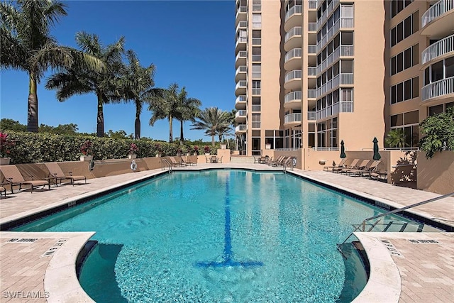 view of swimming pool featuring a patio area