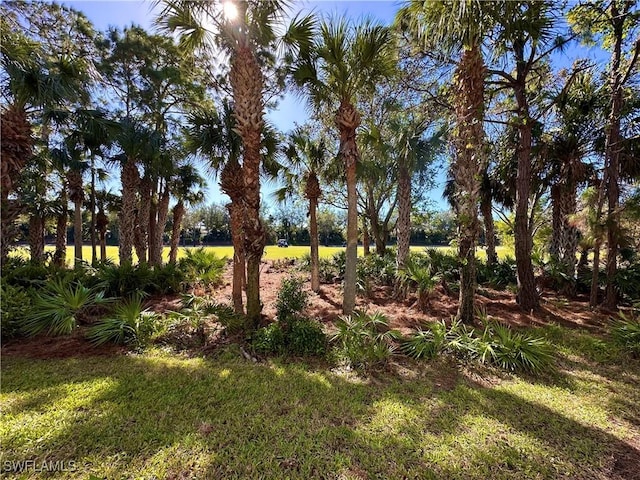 view of landscape