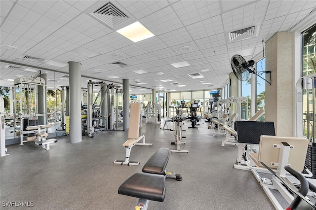 gym with a paneled ceiling and expansive windows