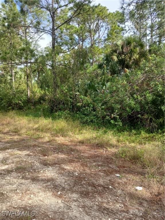 3302 Laura Ave N, Lehigh Acres FL, 33971 land for sale