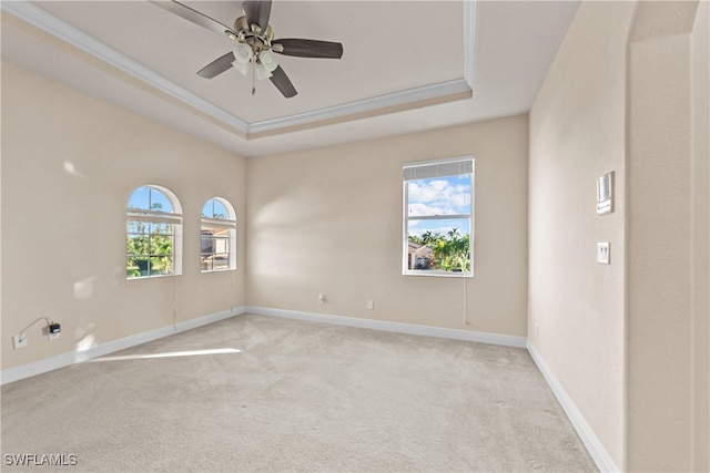 carpeted empty room with ceiling fan, a raised ceiling, and ornamental molding