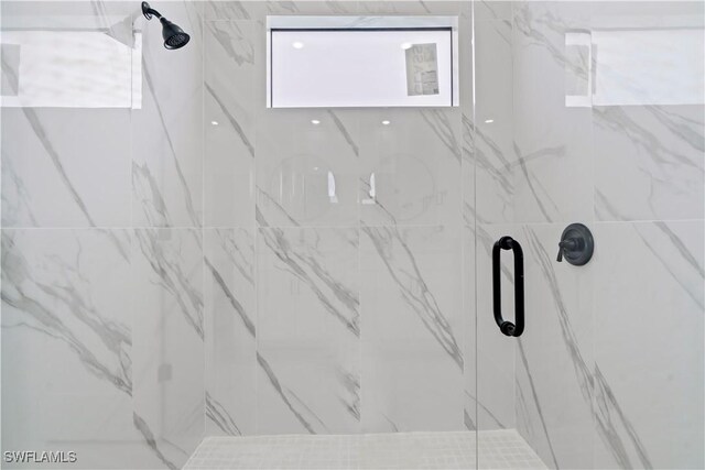 room details with a shower with shower door