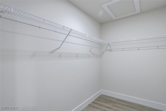 spacious closet featuring wood-type flooring