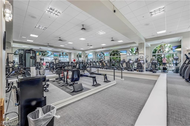 gym featuring carpet flooring, a paneled ceiling, and a healthy amount of sunlight