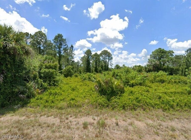 1907 Irving Ave, Lehigh Acres FL, 33972 land for sale