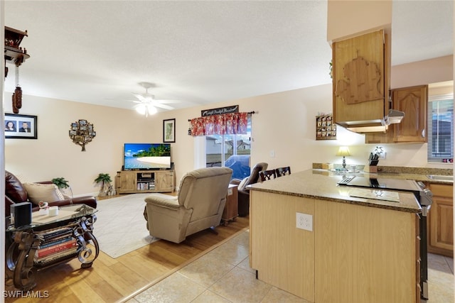 kitchen featuring light wood-type flooring, a wealth of natural light, stainless steel range with electric stovetop, and ceiling fan