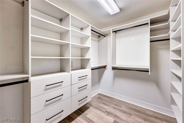 walk in closet featuring light hardwood / wood-style floors