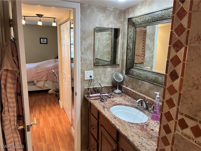 bathroom featuring wood-type flooring and vanity