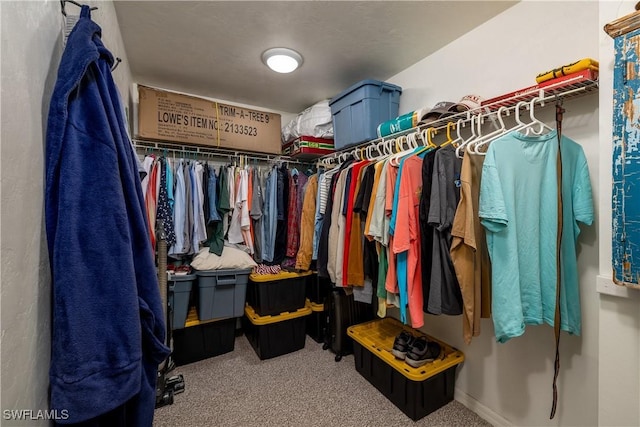 walk in closet featuring carpet