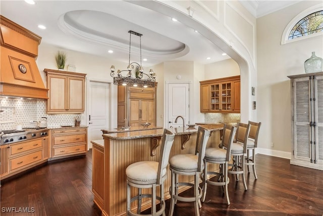 interior space featuring a raised ceiling, a kitchen island with sink, dark hardwood / wood-style floors, and stainless steel gas stovetop