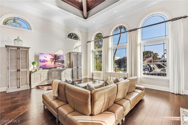 living room featuring a towering ceiling, dark wood-type flooring, and ornamental molding