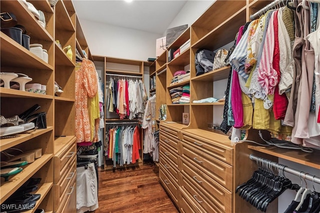 walk in closet featuring dark wood-type flooring