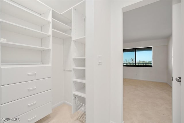 spacious closet featuring light colored carpet