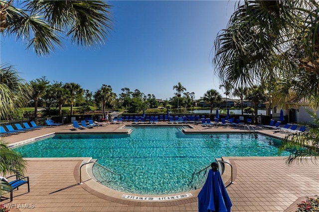 view of swimming pool featuring a patio area