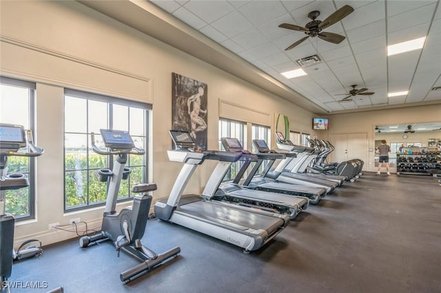 exercise room featuring ceiling fan, a healthy amount of sunlight, and a drop ceiling