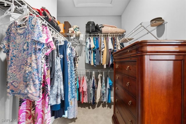 spacious closet with carpet floors