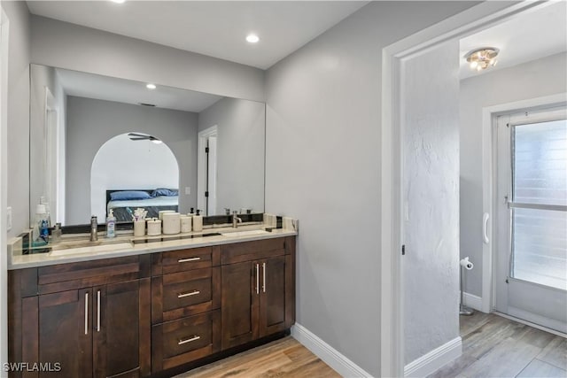 bathroom with hardwood / wood-style flooring, vanity, and a healthy amount of sunlight