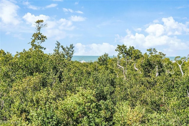 view of local wilderness with a water view