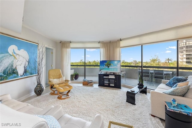 living room with plenty of natural light