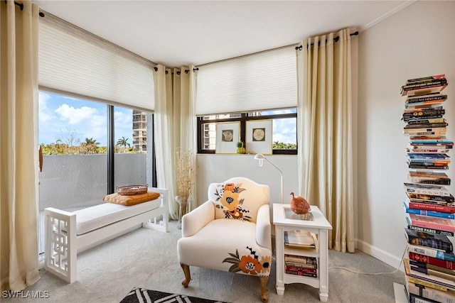 sitting room with light colored carpet