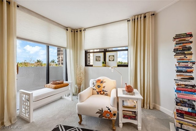 6001 Pelican Bay Blvd Unit 204, Naples, FL 34108 - living area with carpet floors and baseboards