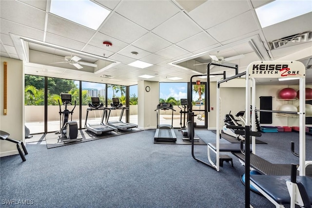 workout area featuring a drop ceiling, a wall of windows, and ceiling fan