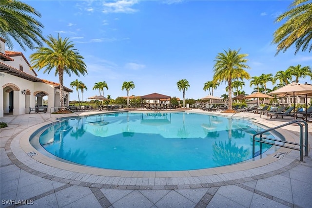 view of swimming pool with a patio