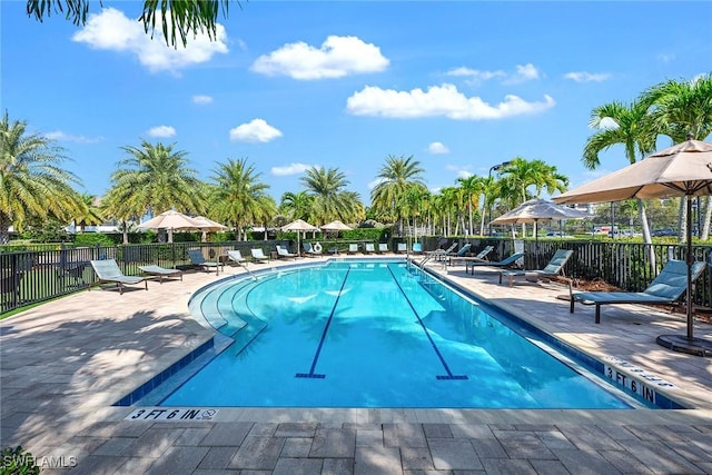 view of pool featuring a patio area