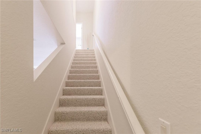 staircase with carpet