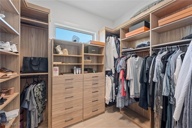 view of spacious closet