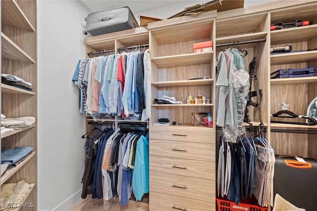 walk in closet featuring hardwood / wood-style floors