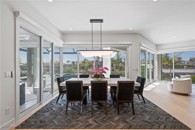 dining room featuring dark wood-type flooring and a healthy amount of sunlight