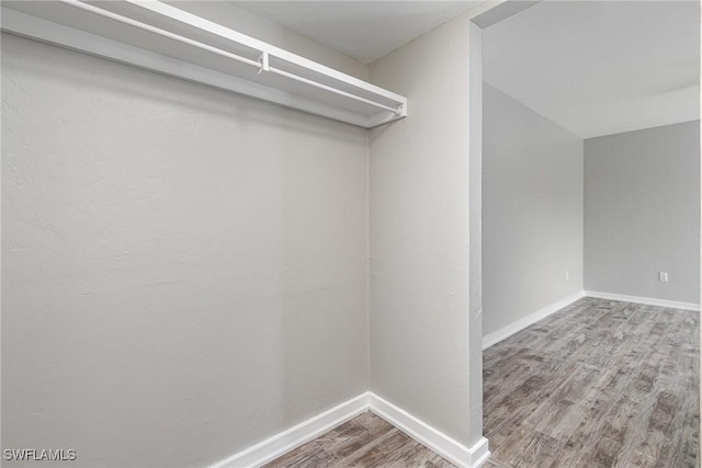 spacious closet with hardwood / wood-style floors