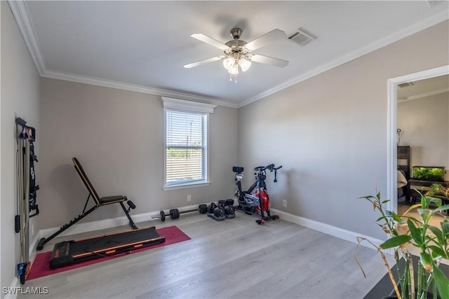 exercise area with crown molding, ceiling fan, and light hardwood / wood-style floors