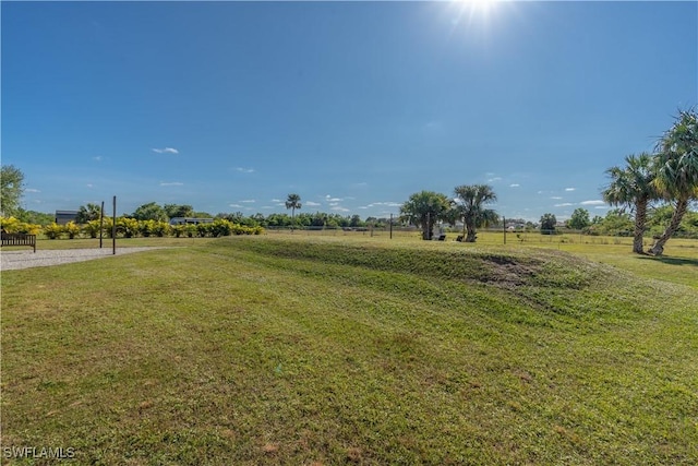 4008 24th Ave NE, Naples, FL 34120 - view of grassy yard featuring a view of rural / pastoral area