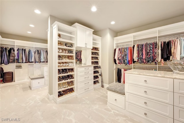 spacious closet with light colored carpet