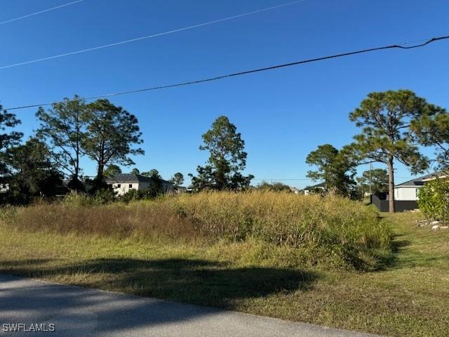 2906 29th St SW, Lehigh Acres FL, 33976 land for sale