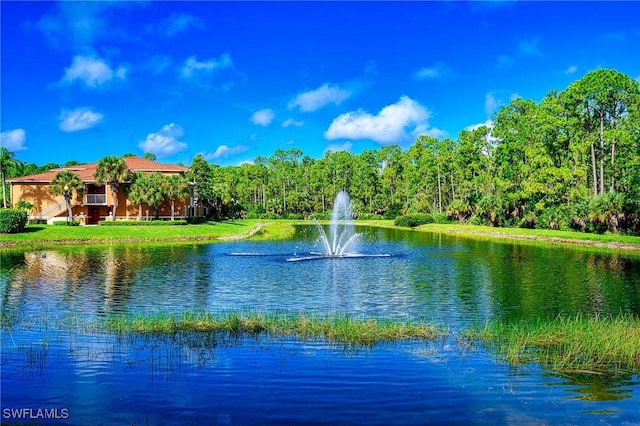 view of water feature