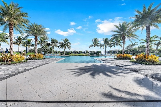 view of pool featuring a patio area