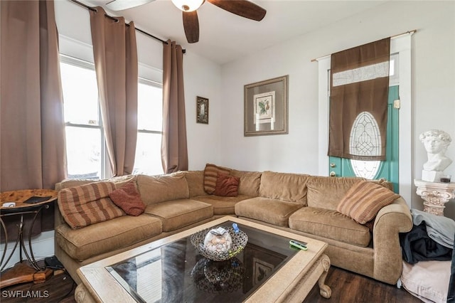 living room with ceiling fan, a healthy amount of sunlight, and dark hardwood / wood-style flooring