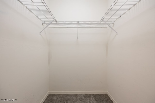 spacious closet featuring dark colored carpet