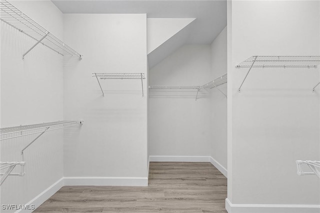 spacious closet featuring light wood-type flooring