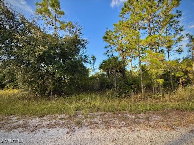 4219 E 25th St, Alva FL, 33920 land for sale