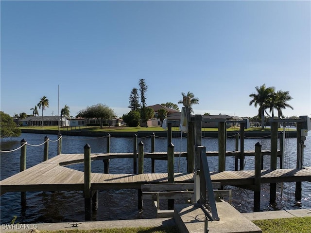 dock area with a water view