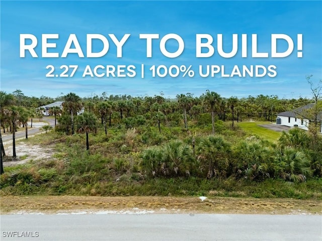 TBD 36th Ave SE, Naples FL, 34117 land for sale