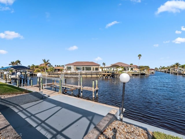 dock area with a water view